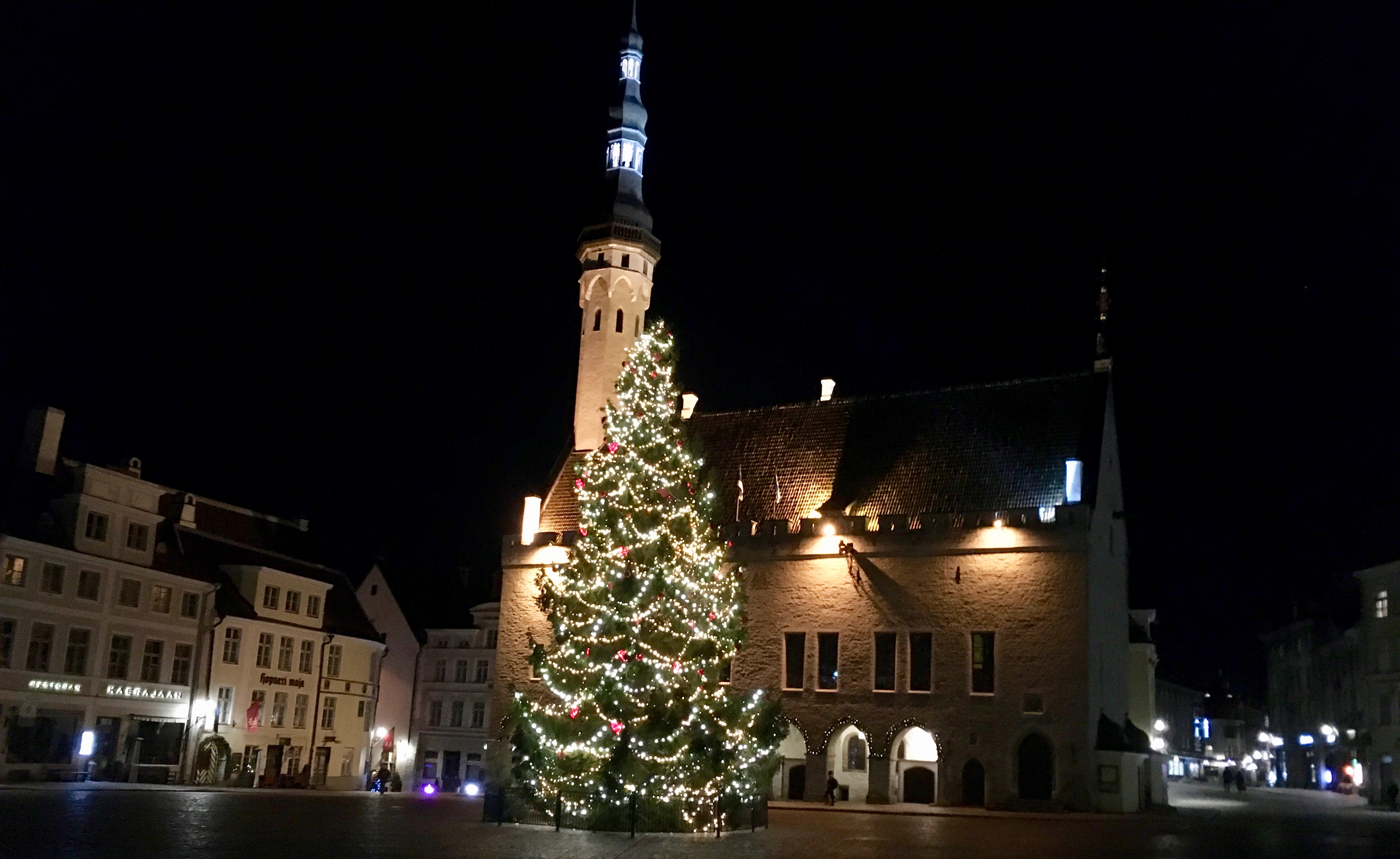 Town Hall Square Christmas Tree, Tallinn, Estonia