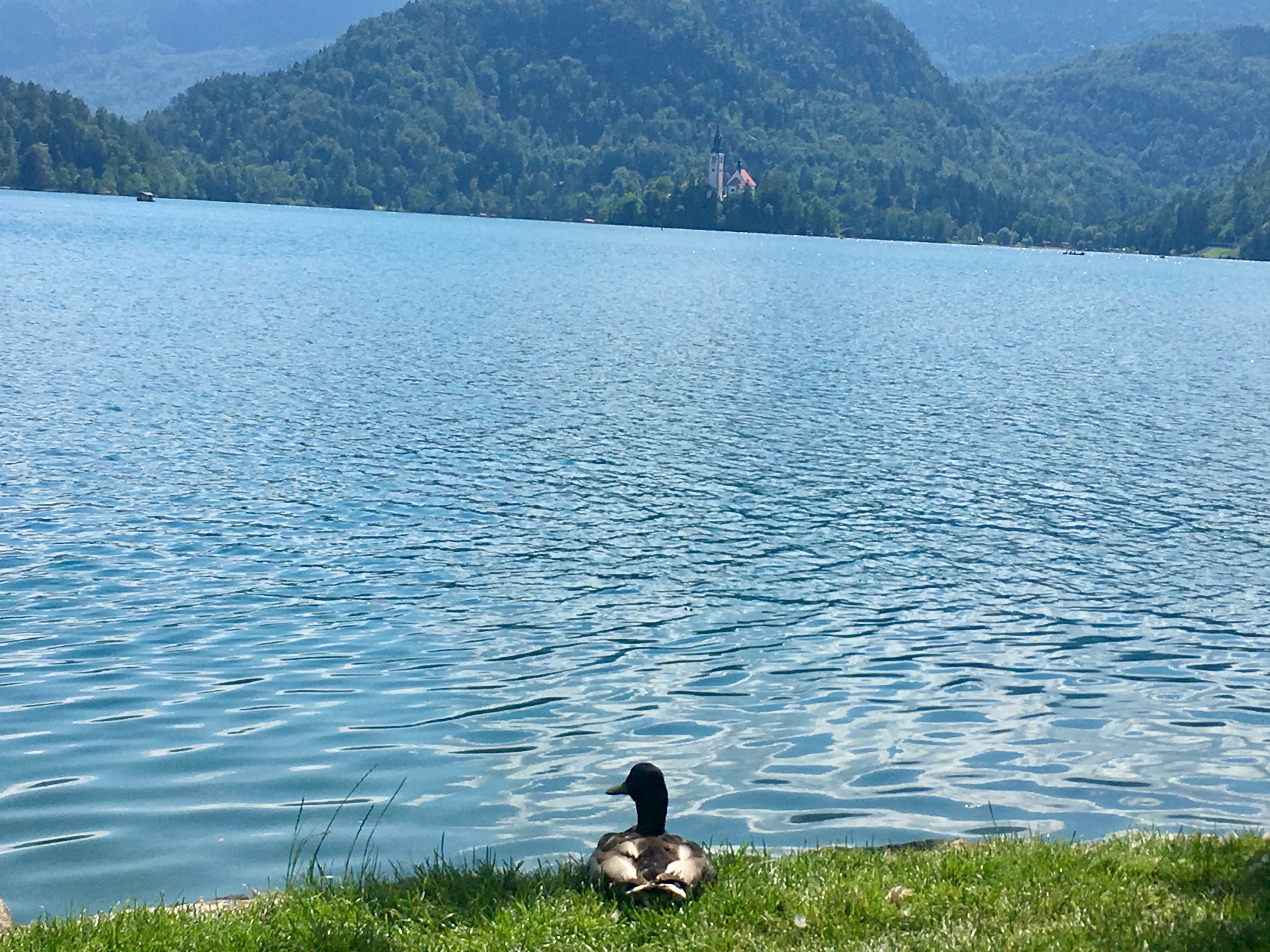 View of Lake Bled, Slovenia