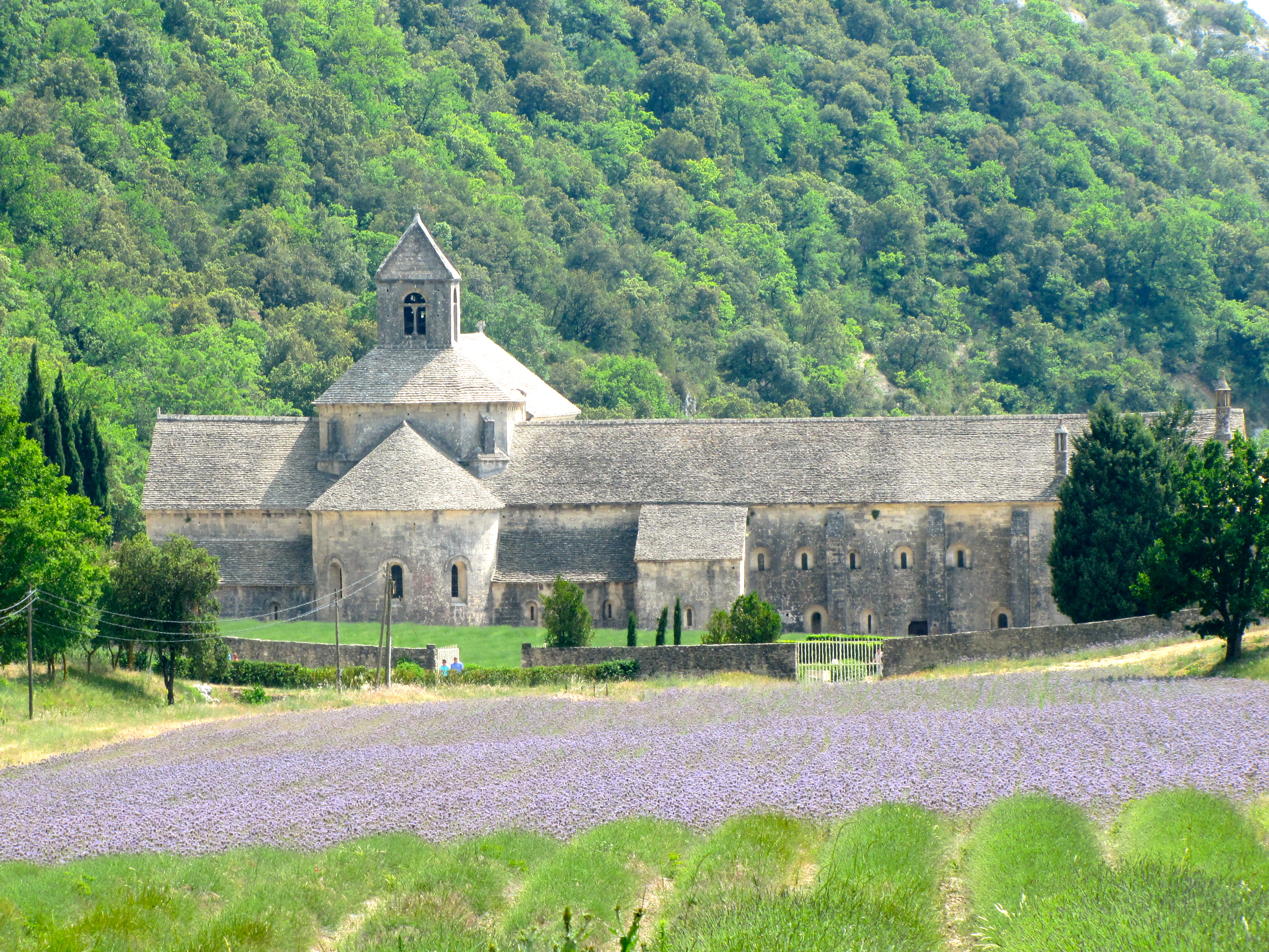 Abbaye de Sénanque, Provence, France