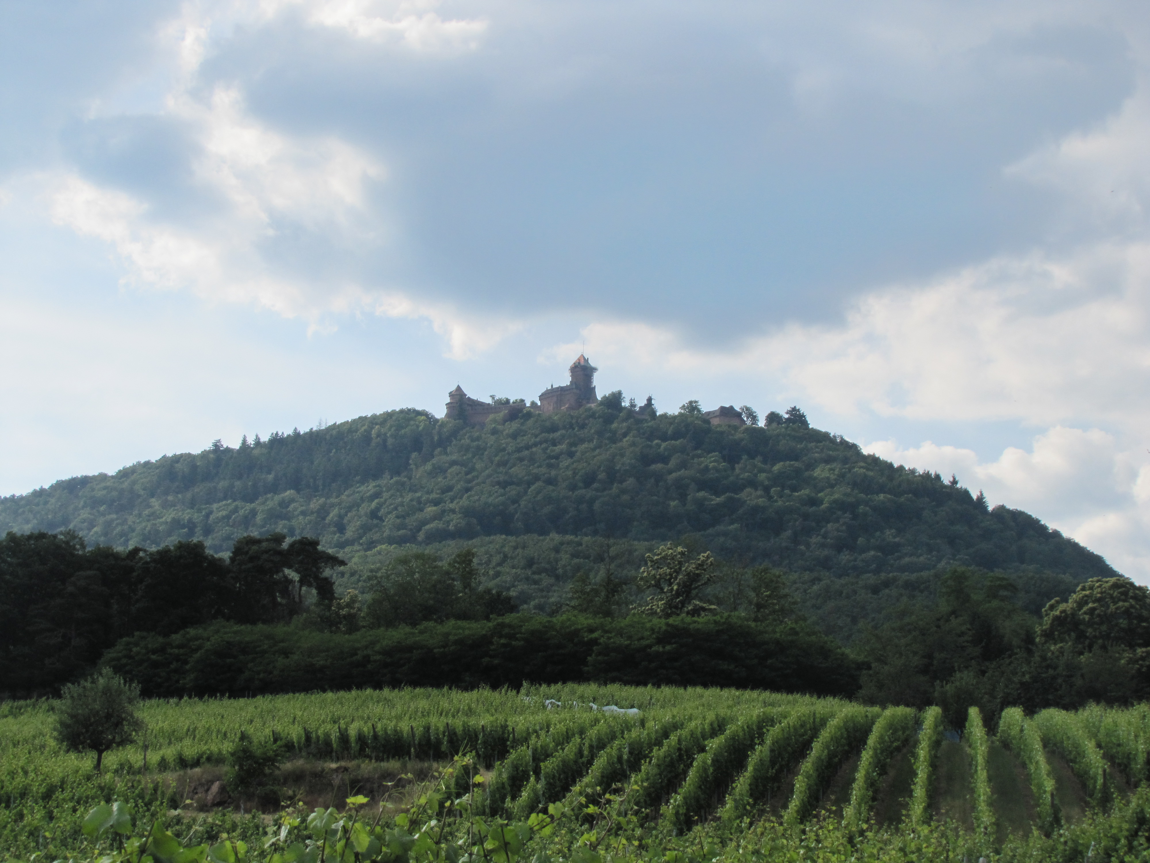 Haut Koenigsbourg, Alsace, France
