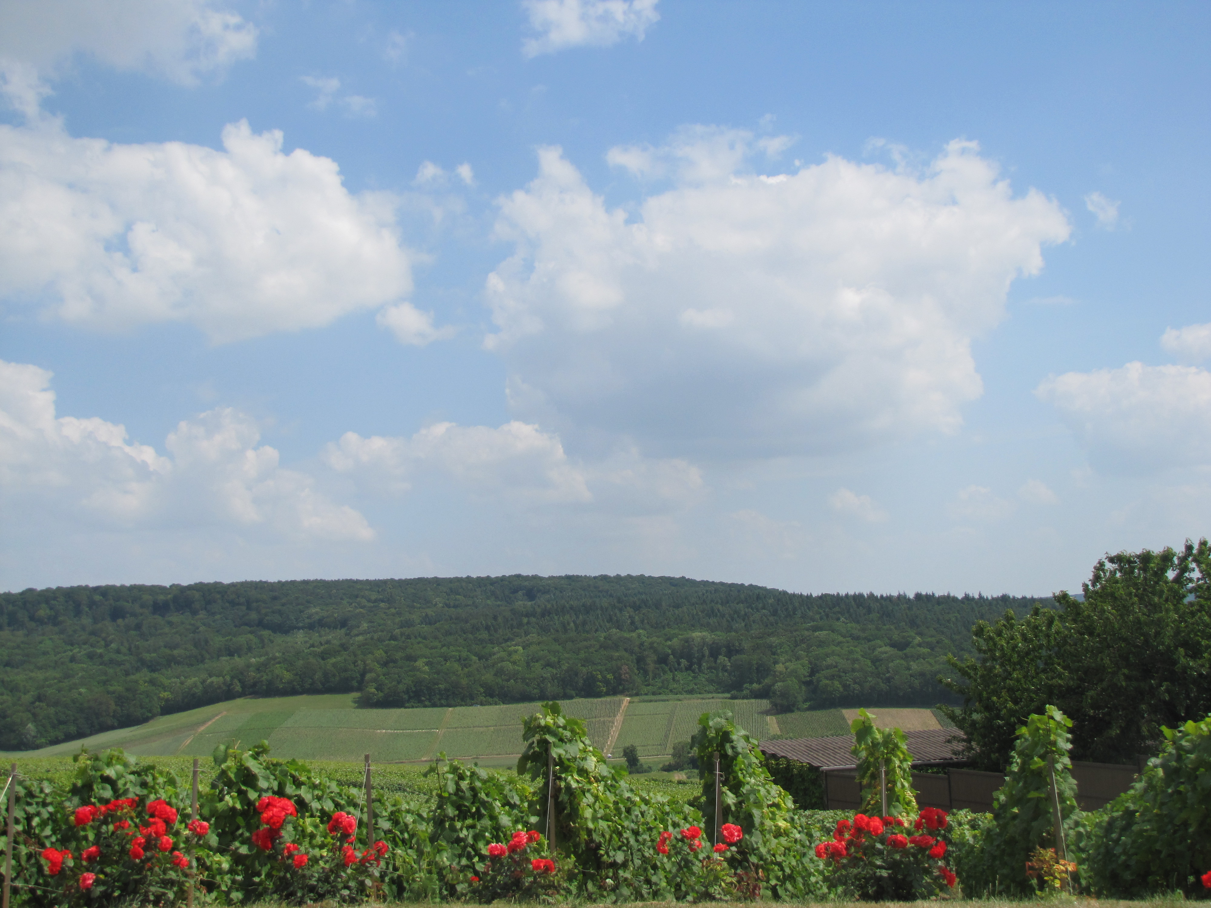 Champagne Route, France