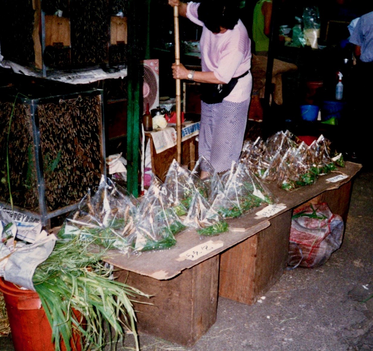 Bird Food Hong Kong Style